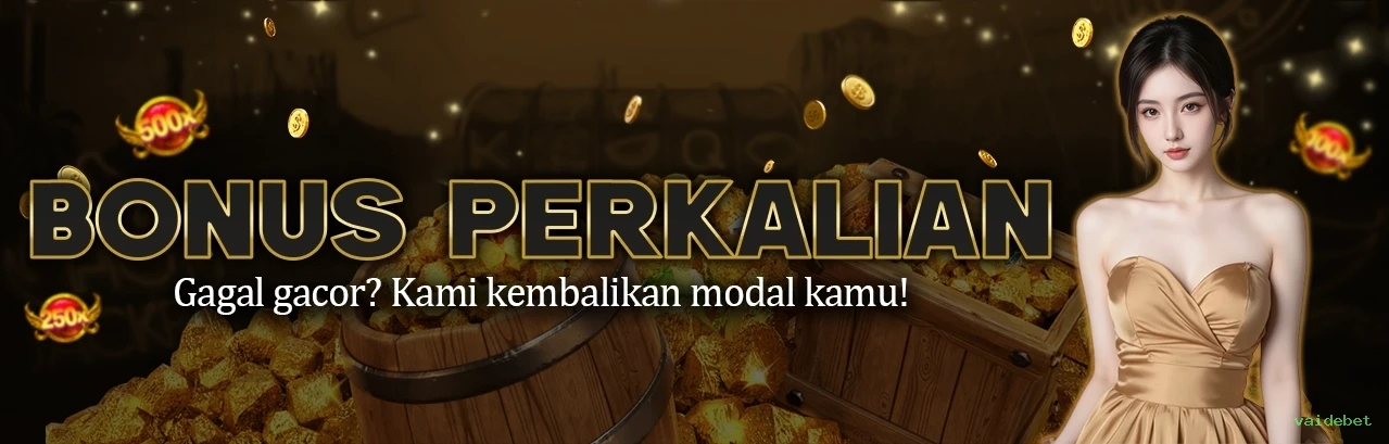 Termos Financeiros vaidebet